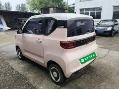 Wuling Hongguang MINIEV Macaron Fashion Edition LFP Battery - ფოტო 5