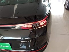 Volkswagen Magotan 300TSI DSG Prestige Edition with Eye-Catching Package - ფოტო 8