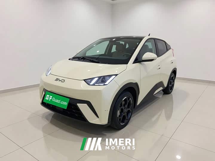 BYD Seagull 2025 305km Freedom Edition - ავტომობილი ჩინეთიდან