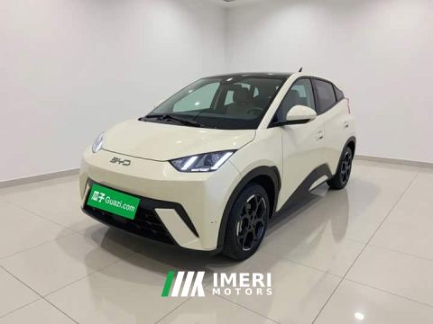 2024 BYD Seagull 305km Freedom Edition