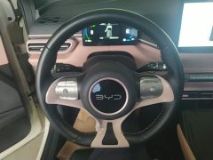 BYD Seagull 2025 305km Freedom Edition - ფოტო 11
