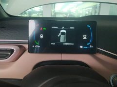 BYD Seagull 2025 305km Freedom Edition - ფოტო 12