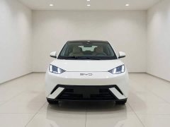 BYD Seagull 2025 305km Freedom Edition - ფოტო 3