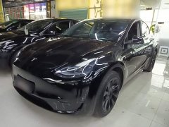 Tesla Model Y Rear-Wheel Drive - ფოტო 2