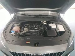 Geely Xingrui 2026 Oriental Radiance 2.0T Diesel Moonlight Edition - ფოტო 20