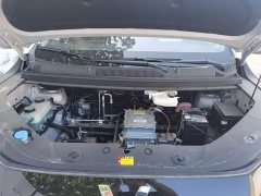 Wuling Starlight 730 New Energy Pure Electric 500km Luxury - ფოტო 20