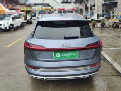 Audi e-tron 2021 50 quattro Premium - ფოტო 6