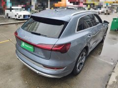 Audi e-tron 2021 50 quattro Premium - ფოტო 7