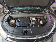 Geely Galaxy Starship 7 120km Explorer Edition - ფოტო 20
