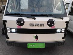 SRM Shineray E3 BYD 310KM Utility Passenger Transport - photo 20