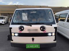 SRM Shineray E3 BYD 310KM Utility Passenger Transport - photo 3