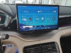 BYD Song Plus New Energy 2021 DM-i 110KM Flagship Plus - ფოტო 10