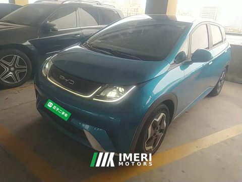 2022 BYD Dolphin 405km Fashion Edition - ავტომობილი ჩინეთიდან