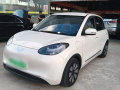 Wuling Binguo 333km Joy Edition - ფოტო 1