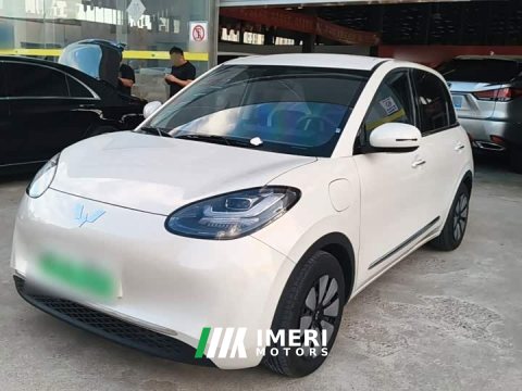 2024 Wuling Binguo 333km Joy Edition - ავტომობილი ჩინეთიდან