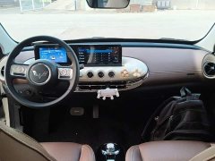 Wuling Binguo 333km Joy Edition - ფოტო 10