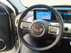 Wuling Binguo 333km Joy Edition - ფოტო 11