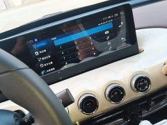 Wuling Binguo 333km Joy Edition - ფოტო 13