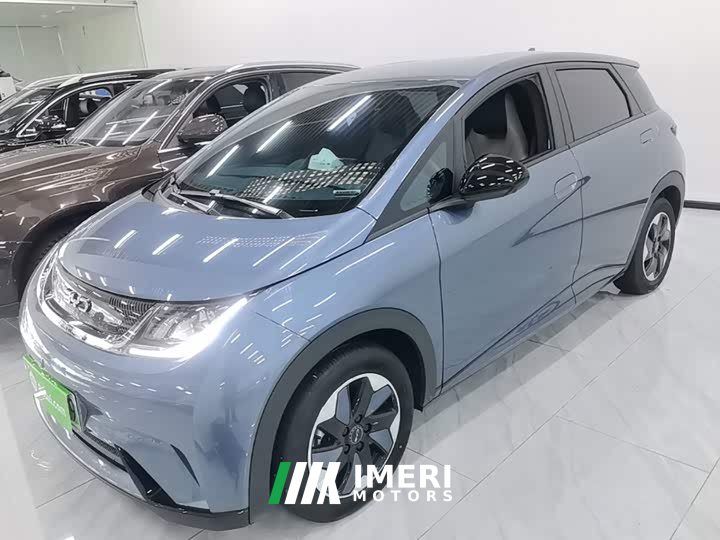BYD Dolphin 420km Freedom Edition - ავტომობილი ჩინეთიდან
