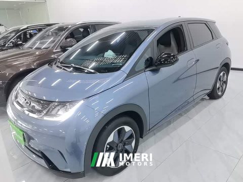 2025 BYD Dolphin 420km Freedom Edition - ავტომობილი ჩინეთიდან