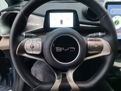 BYD Dolphin 420km Freedom Edition - ფოტო 11