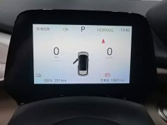 BYD Dolphin 420km Freedom Edition - ფოტო 12