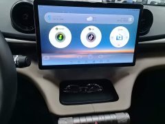 BYD Dolphin 420km Freedom Edition - ფოტო 13