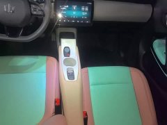 Leapmotor T03 310 Lite Enjoy Edition - ფოტო 14