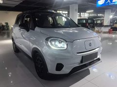 Leapmotor T03 310 Lite Enjoy Edition - ფოტო 4