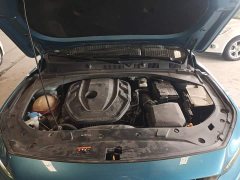 Geely Xingrui 2.0T Diesel Luxury - ფოტო 20