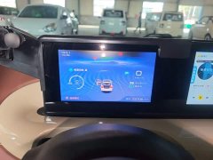 Wuling Binguo 333km Joy Edition - ფოტო 12