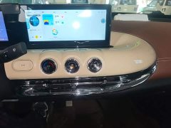 Wuling Binguo 333km Joy Edition - ფოტო 13