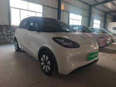Wuling Binguo 333km Joy Edition - ფოტო 4