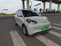 Wuling Binguo 203km Light Enjoy Edition - ფოტო 4