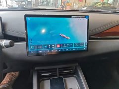 BYD Dolphin 06 DM-i Smart Drive 120KM Deluxe - ფოტო 13