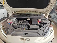 BYD Dolphin 06 DM-i Smart Drive 120KM Deluxe - ფოტო 20