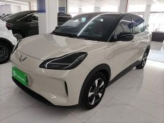 Wuling Binguo PLUS 330km 5-Seater - ფოტო 1
