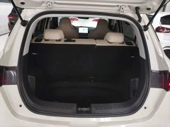 Wuling Binguo PLUS 330km 5-Seater - ფოტო 19