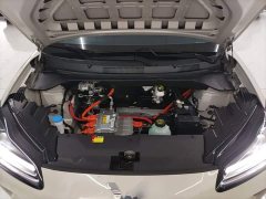 Wuling Binguo PLUS 330km 5-Seater - ფოტო 20