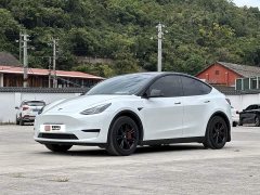 Tesla Model Y Rear-Wheel Drive - ფოტო 1