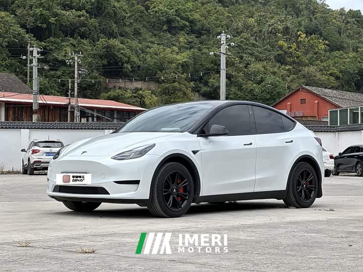 Tesla Model Y Rear-Wheel Drive