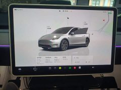 Tesla Model Y Rear-Wheel Drive - ფოტო 12