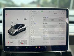 Tesla Model Y Rear-Wheel Drive - ფოტო 13