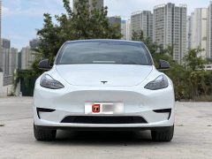 Tesla Model Y Rear-Wheel Drive - ფოტო 3