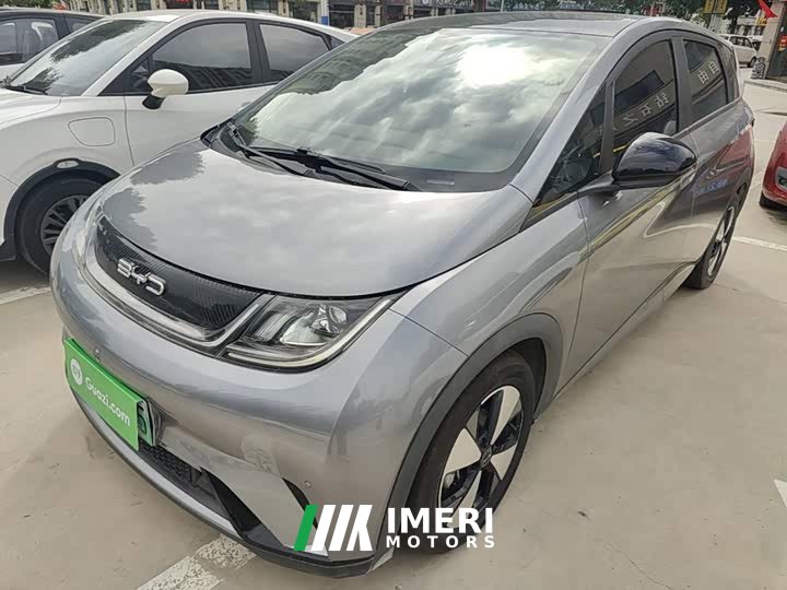 BYD Dolphin 420km Fashion Edition - ავტომობილი ჩინეთიდან