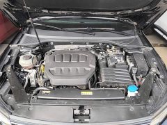 Volkswagen Magotan Facelift II Popular Edition 330TSI DSG Luxury - ფოტო 20