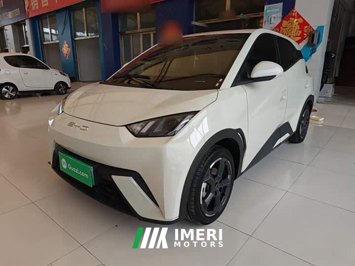 BYD Seagull 2023 Freedom Edition - ავტომობილი ჩინეთიდან