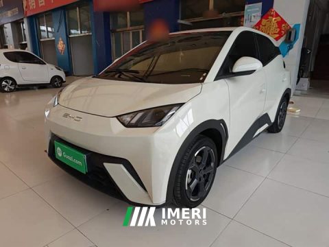 2024 BYD Seagull 2023 Freedom Edition - ავტომობილი ჩინეთიდან