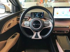 BYD Seagull 2023 Freedom Edition - ფოტო 11