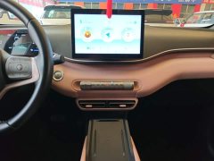 BYD Seagull 2023 Freedom Edition - ფოტო 13